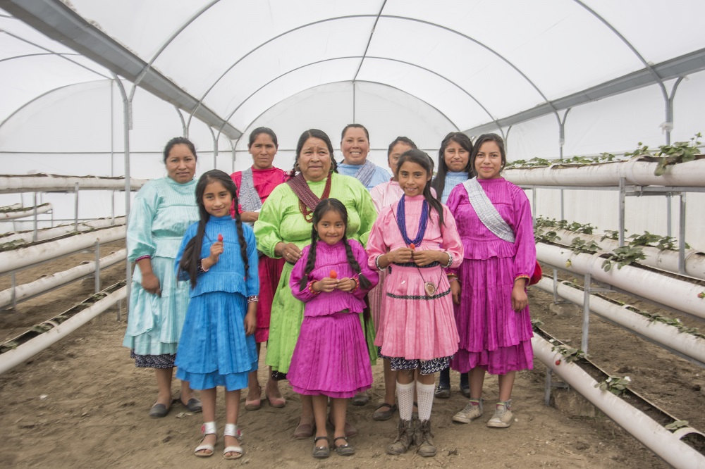 Saber Nutrir celebra 11 años mejorando la calidad de vida de familias mexicanas en vulnerabilidad alimentaria